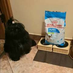 Фото отзыва 10715172