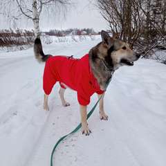 Фото отзыва 8291814