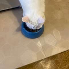 Фото отзыва 10949638