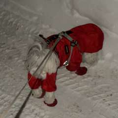 Фото отзыва 11157119