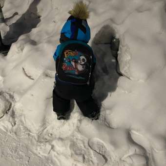 Рюкзак дошкольный Erhaft Панда: отзыв пользователя Детский Мир