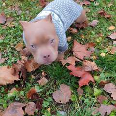 Фото отзыва 10626318