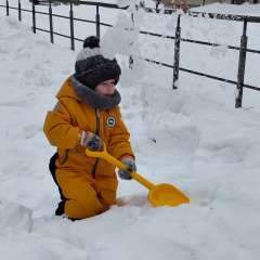 Фото отзыва 8798028