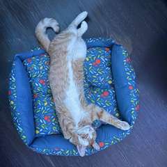 Фото отзыва 10797419