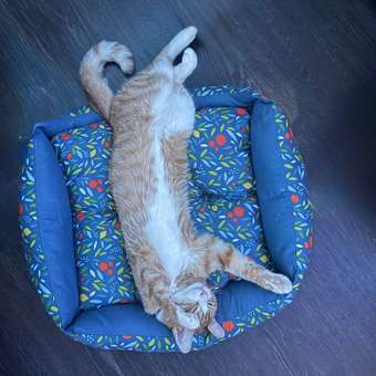 Лежанка GAMMA Мандарин прямоугольная М 52-45-17см 31932173: отзыв пользователя. Зоомагазин Зоозавр