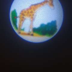 Фото отзыва 2818872