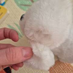 Фото отзыва 11177087