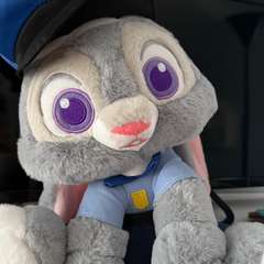 Фото отзыва 10604964