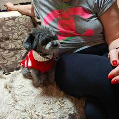 Фото отзыва 10780940