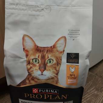 Корм сухой для кошек PRO PLAN 1.5кг с курицей: отзыв пользователя. Зоомагазин Зоозавр