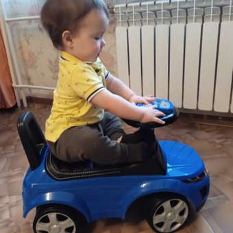 Пушкар BabyCare Sport car синий: отзыв пользователя Детский Мир