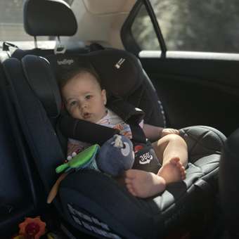 Автокресло Indigo Tourneo Isofix 0+/1/2/3 (0-36 кг): отзыв пользователя Детский Мир
