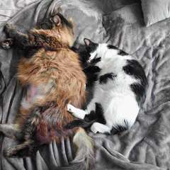 Фото отзыва 10800112