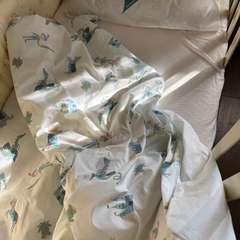 Фото отзыва 11134578