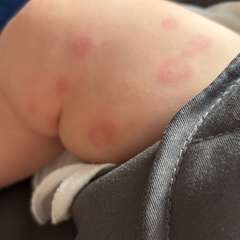 Фото отзыва 11301282