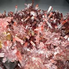 Фото отзыва 10528485