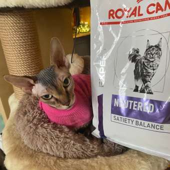 Корм для кошек ROYAL CANIN Neutered Satiety Balance стерилизованных 3.5кг: отзыв пользователя. Зоомагазин Зоозавр