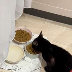 Видео отзыва 10931673