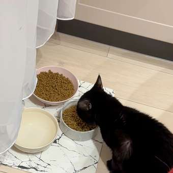 Корм сухой для котят PRO PLAN HEALTHY START 3 кг с курицей: отзыв пользователя. Зоомагазин Зоозавр