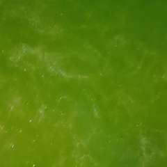 Видео отзыва 7278518