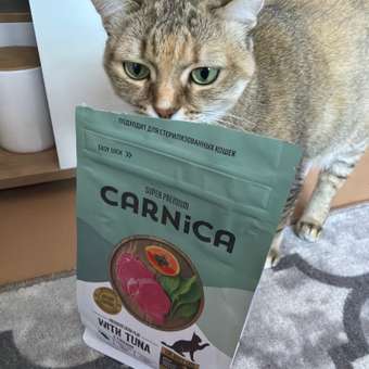 Корм для кошек Carnica 0.4кг с тунцом для поддержания веса сухой: отзыв пользователя. Зоомагазин Зоозавр