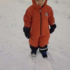 Фото отзыва 10812354