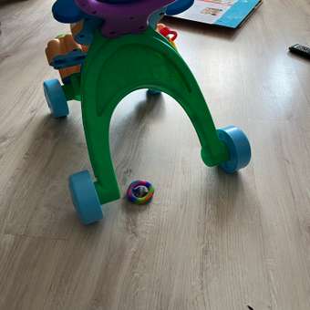 Ходунки Fisher Price Ученый Щенок с ручкой: отзыв пользователя ДетМир