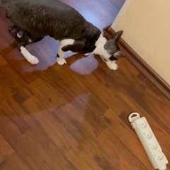 Видео отзыва 10476195