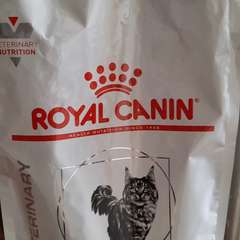 Фото отзыва 10538902