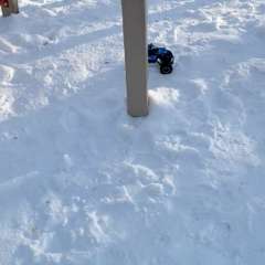 Видео отзыва 10839570