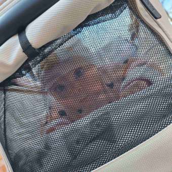 Коляска 3в1 Farfello для новорожденных бежевый: отзыв пользователя Детский Мир