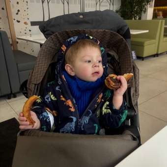 Коляска прогулочная Babyton Urban Brown: отзыв пользователя ДетМир