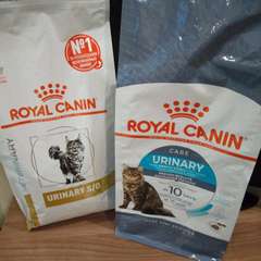 Фото отзыва 10824169