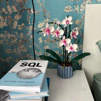 Конструктор LEGO Botanicals Orchid 608 дет.: отзыв пользователя Детский Мир