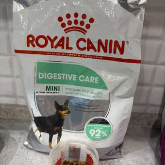 Корм для собак ROYAL CANIN Mini Digestive Care мелких пород с чувствительным пищеварением 3кг: отзыв пользователя. Зоомагазин Зоозавр
