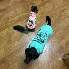 Фото отзыва 10934542