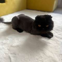 Фото отзыва 10517704