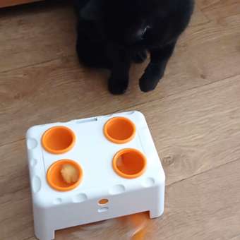 Интерактивная игрушка Pet Flat Умная дразнилка для кошек: отзыв пользователя. Зоомагазин Зоозавр