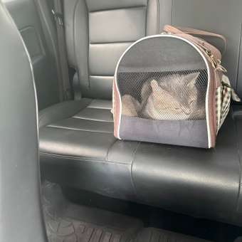 Корм для кошек ROYAL CANIN Satiety management 34 контроль веса 1.5кг: отзыв пользователя. Зоомагазин Зоозавр