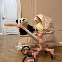 Фото отзыва 10725685