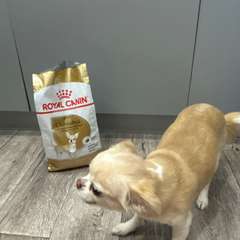 Фото отзыва 10727856