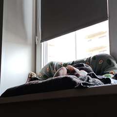 Фото отзыва 11035044