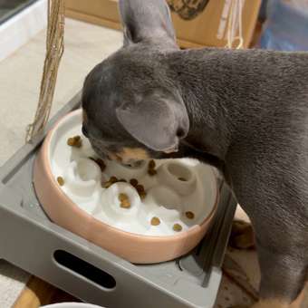 Корм для щенков ROYAL CANIN Gastro Intestinal Junior GIJ29 при нарушении пищеварения 2.5кг: отзыв пользователя. Зоомагазин Зоозавр
