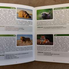 Фото отзыва 11086126