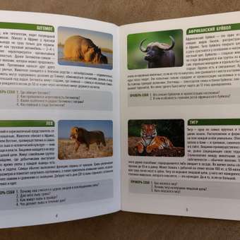 Настольная игра Attivio Мемори Животные: отзыв пользователя ДетМир