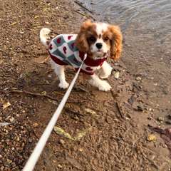 Фото отзыва 11216050