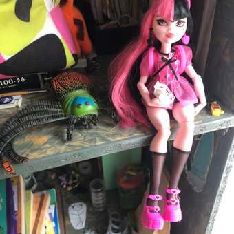 Кукла модельная Monster High Day Out Draculaura: отзыв пользователя ДетМир