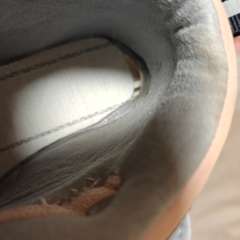 Фото отзыва 11174594