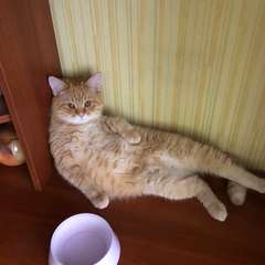 Фото отзыва 10784620