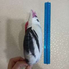 Фото отзыва 5648